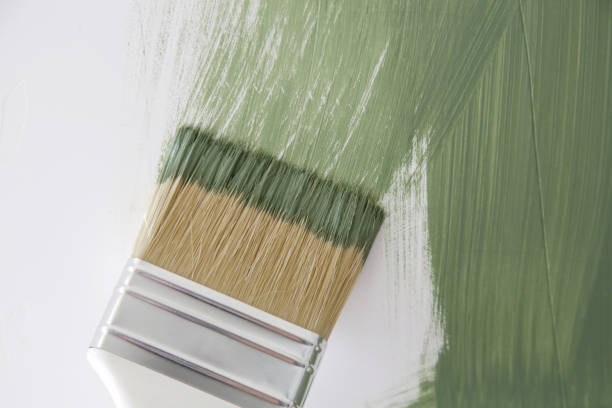 Best Mold Damage Restoration  in San Lorenzo, CA