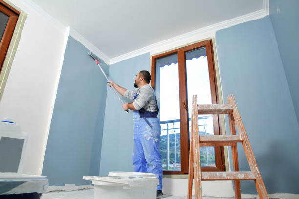 Best Emergency Mold Remediation  in San Lorenzo, CA
