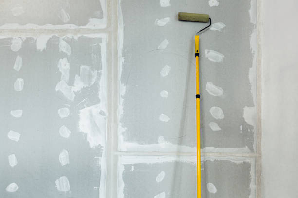 Best Mold Documentation for Insurance Claims  in San Lorenzo, CA